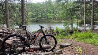 5 Bridges - Port Jervis Watershed Trail