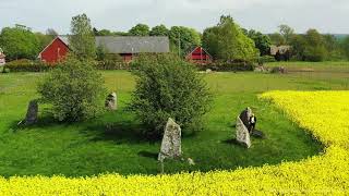 Runestones and Rapeseed fields...