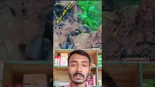 অবাক কান্ড জীবনে এটাই প্রথম 😱 #shorts #viral #trending #shortvideo #shortsfeed