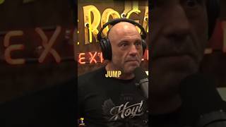 JOE ROGAN and ADAM GREENTREE on crocodiles #joerogan #jre #shorts #viral #trending