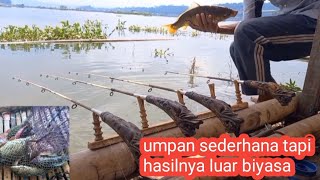 umpan sederhana//tapi hasilnya luar biyasa!!mancing liar cirata