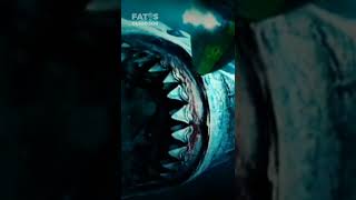 Curiosidades sobre o Megalodonte #3 #curiosidade #animal