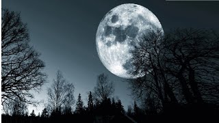 Why Doesn't The Moon Fall To The Ground ?