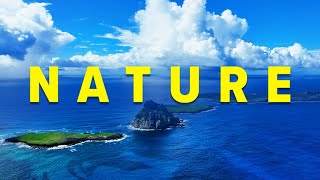 Morning Relaxing Music - Peaceful Relaxing Music - All HD Nature Video and Soothing Music