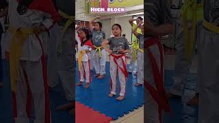 HIGH BLOCK TAEKWONDO TRAINING #andrea #taekwondotraining #taekwondo #highblock