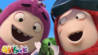 Turtley Cute! | Oddbods Full Episode | Funny Cartoons for Kids