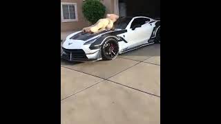 Sick Car Videos Compilation   Insane Cars Of February 2020 y