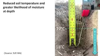 Breeding Systems Resilience and Not Crop Resistance for Reliable Crop Production in Future Climates