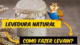 Como fazer Levedura caseira/ Fermento de pão caseiro/Levain.