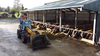 A Very Quick Day In The Life As An Irish Farmer!