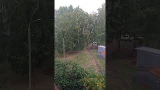 Asmr rain sounds. Асмр звуки дождя.  Для твоего сна  #asmr #sounds #rain #асмр