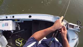 JMS sport fishing Exploring a new creek. Barramundi and Gt’s. ep3