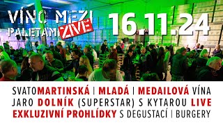 VINO MEZI PALETAMI | 16.11. Bzenec | Svatomartinská i medailová vína  živá muzika | after party