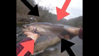 Tuckasegee River Fly Fishing ( I fell in)