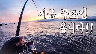 [다리tv] 초 대형급!!! 단 한번의 입질을 바라보고 들어가는 곳!!!