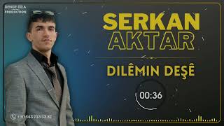 SERKAN AKTAR - YARA DILÊMIN DEŞÊ / 2024  [Official Music]