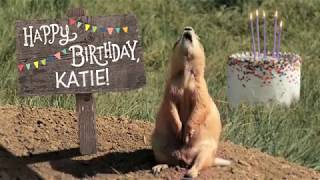 Katie's Birthday Prairie Dog Video