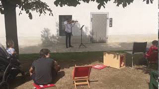 Violin at Ljubljana castle