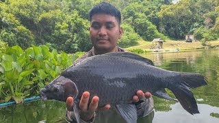 Black Shark Minow at Wasana Fishing Park | Thailand fishing | Fishing vlogs