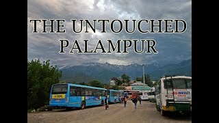 Palampur: Himachal Pradesh, India|VLOG|LIFETHROUGHABYSLENS