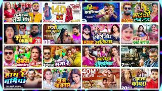 Nonstop Bhojpuri Song 2024 || कमर करे लच लच 💖 मरून कलर सरिया 💖 बुलुकी साड़िया || Raja Ji | Piya Chhod