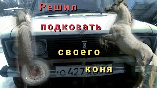 Решил подковать своего железного коня. А куда без него.