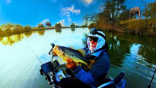 Winter Bass Catch Safari - California Delta Dreaming (Kid Friendly)