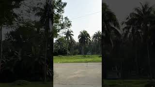 কৃষি বিশ্ববিদ্যালয় ক্লাব | ময়মনসিংহ #mymensingh #weather #nature #bau #কৃষি_বিশ্ববিদ্যালয়