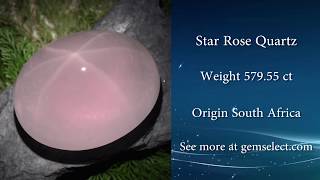 QUARTER POUND STAR ROSE QUARTZ! - GemSelect Video Review