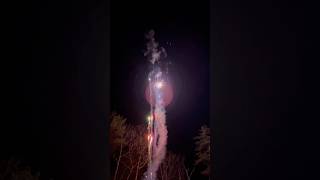 Pulse pounder 50 shot salute consumer cake winda fireworks #shorts #fireworks