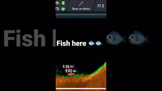 Bottom scan! Fish here ! #fishing #sonar  #fish