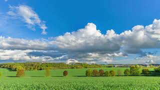 Rainy clouds 🌦 over Czech landscape with alley of colored trees in spring - Time lapse [5K]