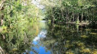 shannonvale swimming hole