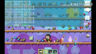 Growtopia|Road To A Thousand Gems[4]