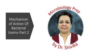 Part 2-Mechanism Of Action Of Bacterial Toxins