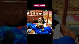 Gopu Sona / Good Morning Laddu Gopal #viralvideo #laddugopal #gopu