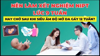 Nên làm xét nghiệm NIPT 9 tuần hay chờ sau khi siêu âm mờ da gáy 12 tuần| Sàng lọc dị tật