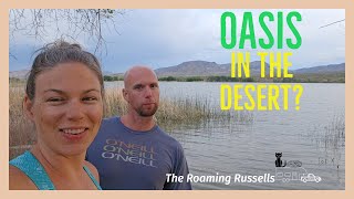 Pahranagat National Wildlife Refuge🦆| Dry Camping⛺| EBikes🚵| Traveling Cats 🐈🐈‍⬛|