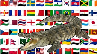 "Crocodile" name from different countries with Voice | animals name