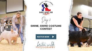 Harris County Fair and Rodeo 2024 -  Swine, Swine Costume Contest