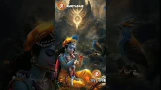 জীবন আসলে কি?🤔👩‍🎓Krishna Bani #krishna #shorts #shortvideo #krishna #banglamotivational