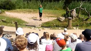 Шоу з птахами у парку AviFauna