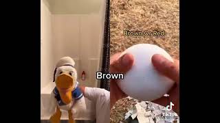 Donald Duck guessing colours tiktok