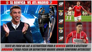 🔴 BENFICA VS ATLÉTICO DE MADRID 🔴 ● A estratégia para o Benfica voltar a vencer na Liga dos Campeões