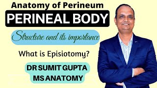 PERINEAL BODY : Anatomy