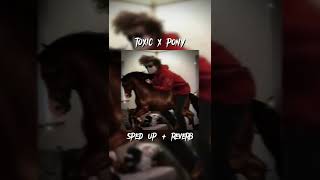 Toxic x Pony - Britney Spears x Ginuwine (Sped Up + Reverb) Ranboo On A Horse LMAO