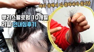 인내심으로 스왈로펌 10개월 버텼다(리얼후기)