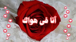 أنا فى هواكَ ❤️‍🔥 🥀أخالف الإعرابا ❤️