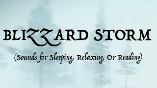 ❄️SOUNDS OF A BLIZZARD STORM (Sleep, Relax, Or Read)