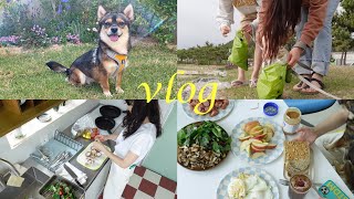 VLOG | 양양 브이로그 1박2일, 나의 소중한 일상들